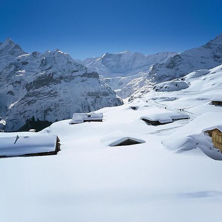 Apartment Chalet Marie Rosa-1 Grindelwald Extérieur photo