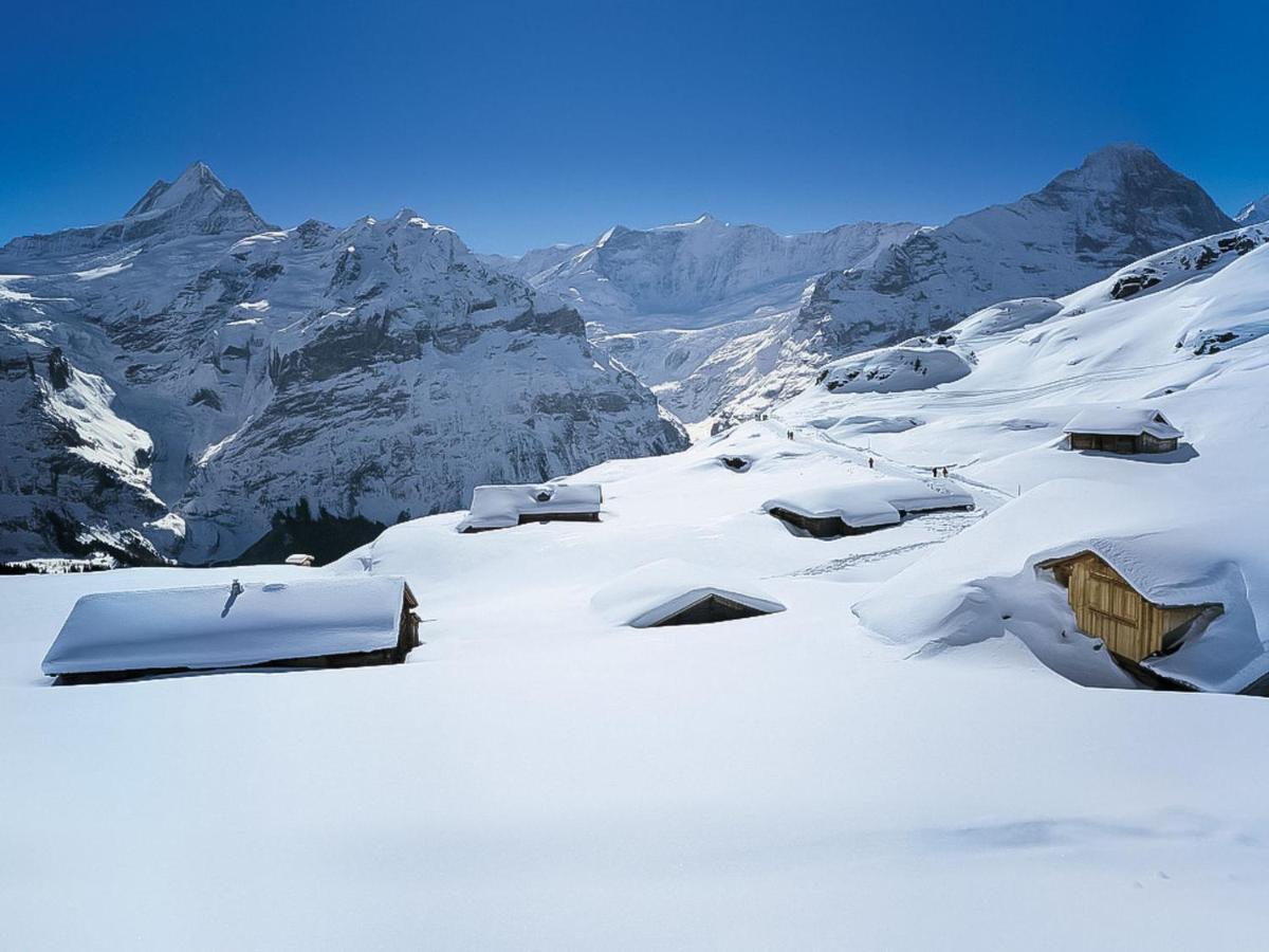 Apartment Chalet Marie Rosa-1 Grindelwald Extérieur photo